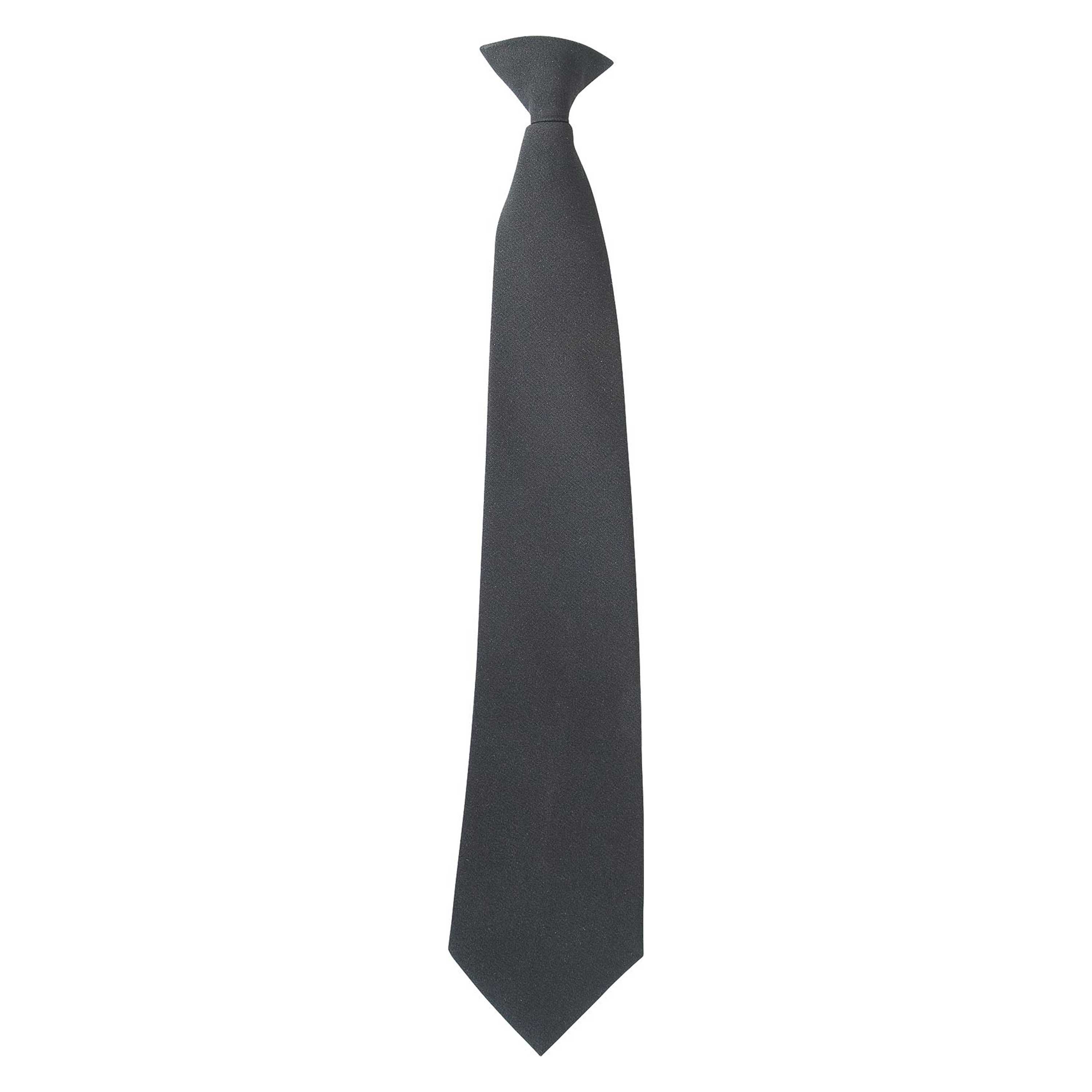 Security Clip-On Tie